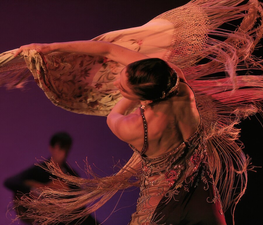 Castro Romero Flamenco Canada Tour 2024 in Montreal